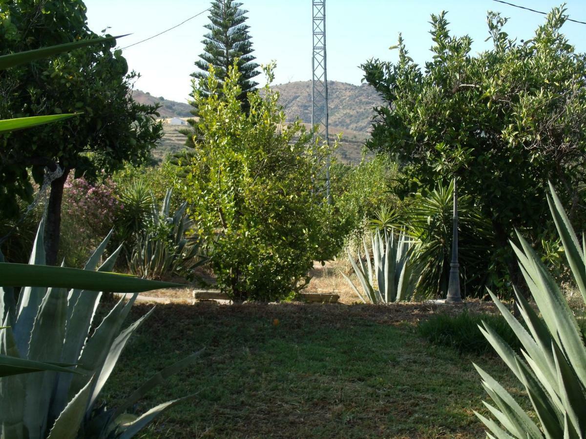 La Finca Blanca Álora Kültér fotó